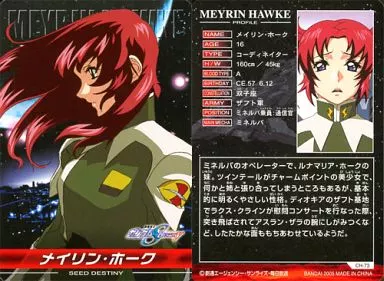 メイリン・ホーク CHARACTER 機動戦士ガンダムSEED DESTINY