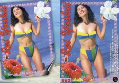 月刊吉井怜 コレクションカード2004 DNAカード トレカ 髪の毛 毛髪入り Yahoo!オークション - 即決 約90枚 吉井怜 トレーディングカード Rei Y