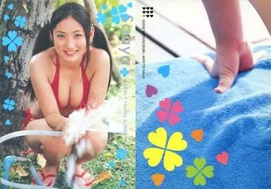 紗綾/2008年19号特典/WEEKLY YOUNG SUNDAY TRADING CARD まるごと紗綾