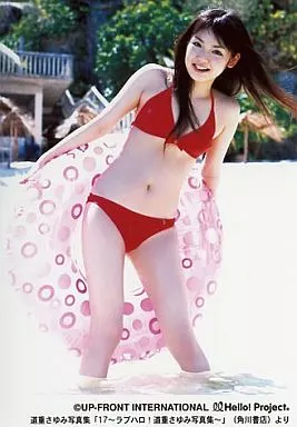 駿河屋 -<中古>モーニング娘。/道重さゆみ/膝上・水着赤・「17