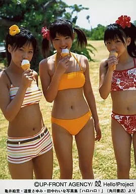 駿河屋 -<中古>モーニング娘。/亀井・道重・田中/膝上・衣装水着