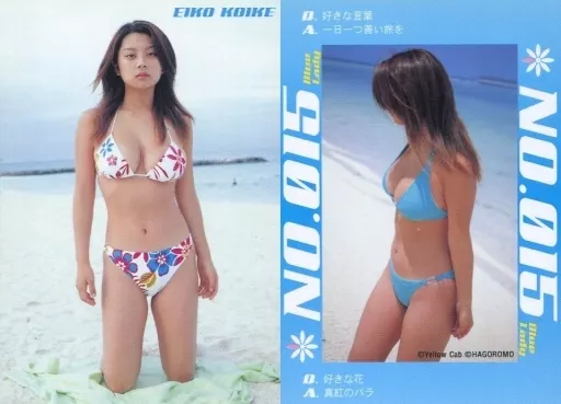 小池栄子さんグッズ セット カード トレカ バインダー コレクション まとめ Amazon.co.jp: G-taste 実写版コスプレ 小池栄子 55-63 トレーディング