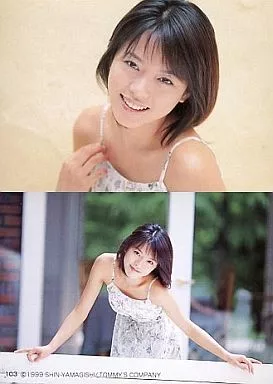 釈由美子　トレカ　SP25枚（プラ）シルバーサイン31枚他　277枚 駿河屋 -<中古>103[レギュラーカード]：釈由美子/レギュラーカード