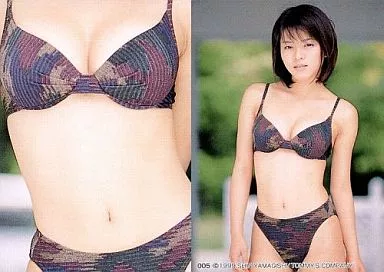 釈由美子　トレカ　SP25枚（プラ）シルバーサイン31枚他　277枚 釈由美子 2000 トレカ アイドル グラビア カード 113 - メルカリ
