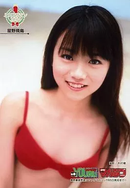 星野飛鳥DVD ミスマガジン2004 ヨドバシ.com - ミスマガジン2004 星野飛鳥 [DVD] 通販【全品