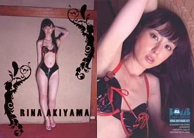 秋山莉奈　オフィシャルカードコレクション　トレーディングカード 30パック 駿河屋 -<中古>077[レギュラーカード]：秋山莉奈/(赤箔押し)/BOMB CARD