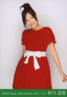 ■希少■仲川遥香 公式 写真 月別 23コンプ 90枚セット AKB JKT 駿河屋 -<中古>仲川遥香/膝上/劇場トレーディング生写真セット