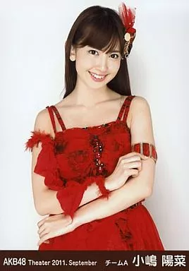小嶋陽菜 AKB48 B.L.T. 2011 生写真 Yahoo!オークション - 小嶋陽菜 AKB48×BLT生写真 2008カレンダーAB