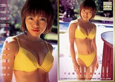 釈由美子　トレカ　SP25枚（プラ）シルバーサイン31枚他　277枚 釈由美子 佐藤江梨子 他 Dr ピカソ [セミコンンプ] ノーマル＋箔押し