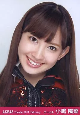 小嶋陽菜　生写真 Amazon.co.jp: 小嶋陽菜 初期時代 生写真 セット : おもちゃ