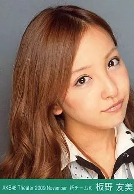 駿河屋 -<中古>板野友美/顔アップ/劇場トレーディング生写真