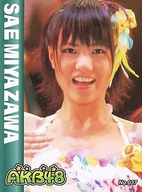 駿河屋 -<中古>No.024/宮澤佐江/ブロマイド（女性生写真）