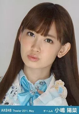 駿河屋 -<中古>小嶋陽菜/顔アップ/劇場トレーディング生写真