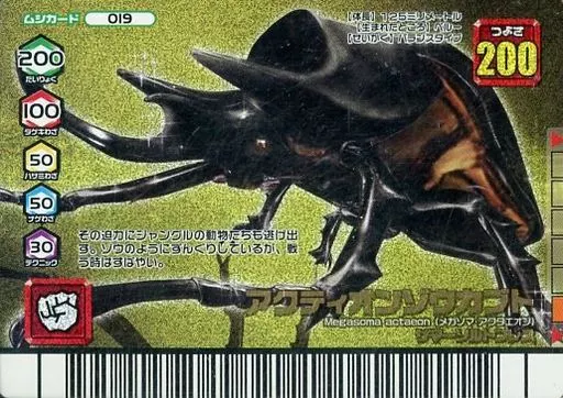 ムシキング/金/ムシカード/秋Ver　019A[金]：アクティオンゾウカブト 駿河屋 -<中古>019[金]：アクティオンゾウカブト（ムシキング）
