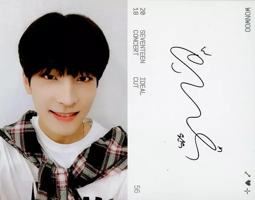 SEVENTEEN ウォヌ トレカ ideal cut SEVENTEEN トレカ ウォヌ トレカまとめ売り