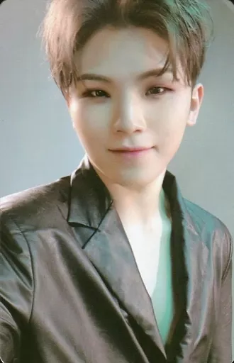 駿河屋 -<中古>SEVENTEEN/WOOZI(ウジ)/衣装黒・両手下げ・背景グレー