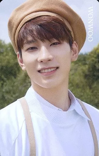 SEVENTEEN/WONWOO(ウォヌ)/野外/「3RD ALBUM「An Ode」発売記念 HMV×SEVENTEENキャンペーン」特典スペシャルカード