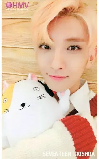 SEVENTEEN/JOSHUA(ジョシュア)/「SEVENTEEN 2018 JAPAN ARENA TOUR ‘SVT’」会場限定 HMVブース CD＆DVD＆Blu-ray購入特典オリジナルコラボカード