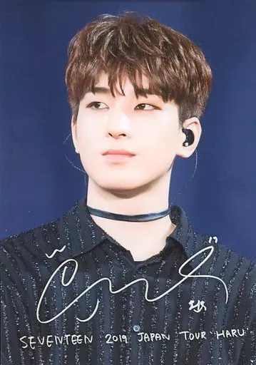 駿河屋 -<中古>SEVENTEEN/WONWOO(ウォヌ)/ライブフォト・印刷