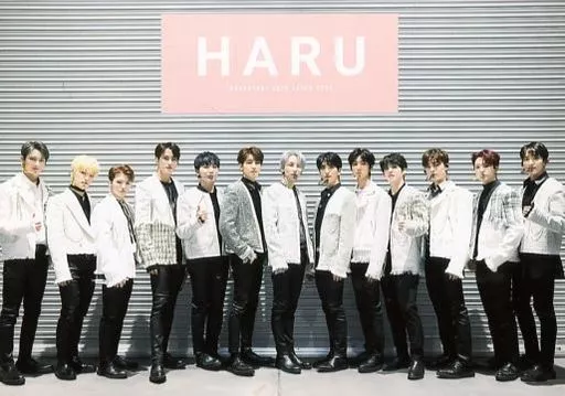 SEVENTEEN/集合(13人)/横型・全身/「SEVENTEEN 2019 JAPAN TOUR ’HARU’」ローソンプリントオリジナルブロマイド