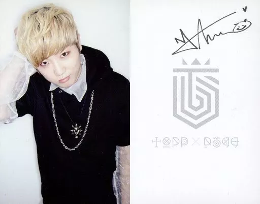 Topp dogg arario 直筆サイン入り 即決・希少】藤浪晋太郎 直筆サイン RCオート - メルカリ