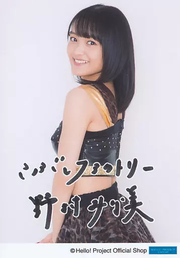 5365 こぶしファクトリー 野村みな美 生写真 50枚セット アーティスト選択 :: アーティスト :: ハロー！プロジェクト :: こぶし