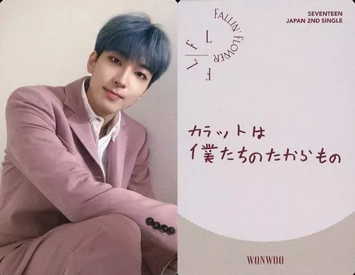 駿河屋 -<中古>SEVENTEEN/WONWOO(ウォヌ)/裏面グレー・印刷メッセージ
