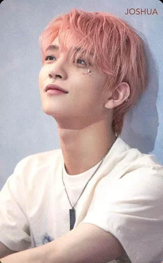 ◉seventeen hmv 特典 トレカ 舞い落ちる花びら ジョシュア 2枚 NEWS | SEVENTEEN Japan official site