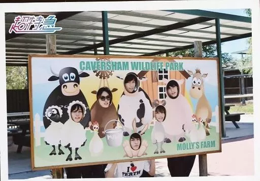 駿河屋 -<中古>超特急/集合(6人)/横型・膝上・顔出しパネル/「FUN!FUN