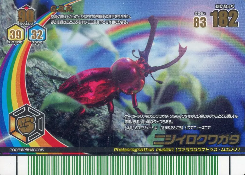 MC085[レインボーレア]：ニジイロクワガタ(赤)(Cランク)