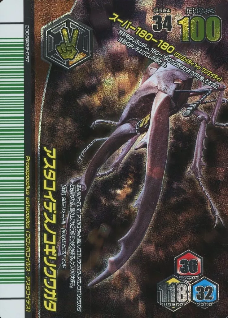 駿河屋 -<中古>MC087[スーパーレア]：アスタコイデス