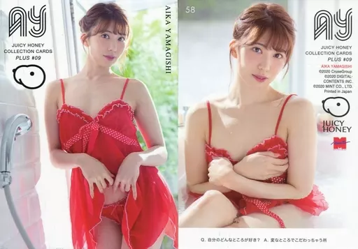 売れ筋新商品 駿河屋 -【アダルト】<中古>58[レギュラーカード]：山岸逢花 その他
