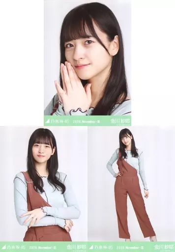 乃木坂46金川紗耶　生写真　１０２枚 Amazon.co.jp: 【金川紗耶】 公式生写真 乃木坂46 人は夢を二度見る