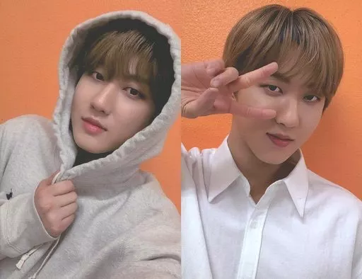 StrayKids スキズ GO生 チャンビン subk 特典 トレカ straykids go生 トレカ バンチャン withfans 特典 | ヤマダウェブコム