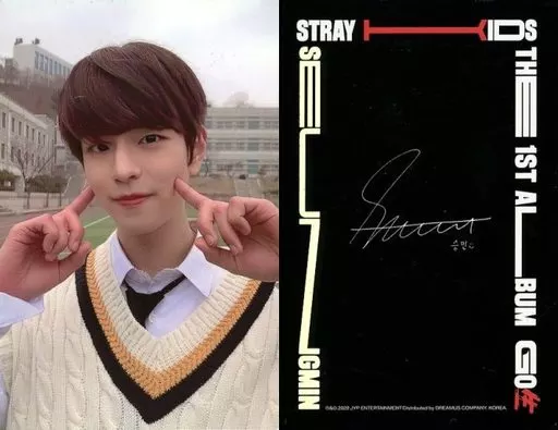 Stray Kids/Seungmin(スンミン)/LIMITED VER./CD「GO生 (GO LIVE)」限定盤封入特典スペシャルフォトカード