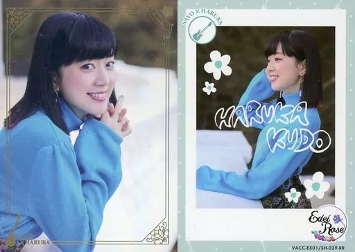 駿河屋 -<中古>VACC-EX01/SH-029-RR：Roselia/工藤晴香/ダブルレア