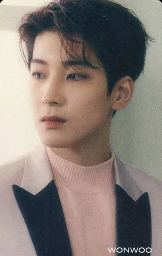 駿河屋 -<中古>SEVENTEEN/WONWOO(ウォヌ)/CD「JAPAN 3RD SINGLE