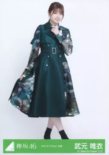 武元唯衣生写真 68コンプ＋4 武元唯衣生写真 68コンプ＋4 武元唯衣 コンプまとめ売り