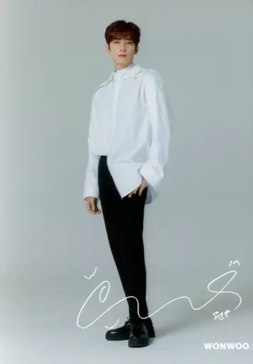 駿河屋 -<中古>SEVENTEEN/WONWOO(ウォヌ)/全身・印刷サイン入り