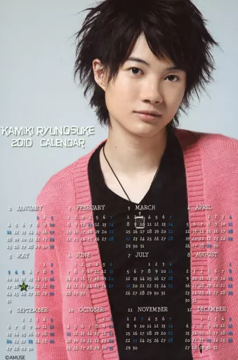 神木隆之介 カレンダー 2010年から まとめ売り 神木隆之介 カレンダー 2010年から まとめ売り | 激安通販のイーサプライ
