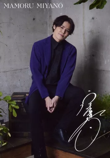 駿河屋 -<中古>宮野真守/全身・印刷サイン入り/CD「透明」＆Blu-ray