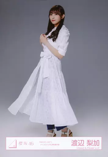駿河屋 -<中古>渡辺梨加/全身/櫻坂46ランダム生写真 ＜「BACKS LIVE