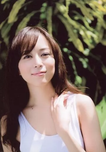 比嘉愛未 クリアファイルセット 比嘉愛未