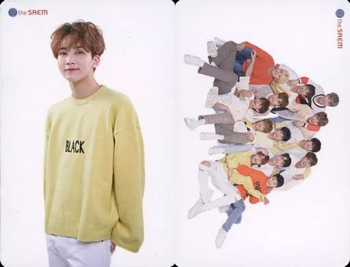 駿河屋 -<中古>SEVENTEEN/JEONGHAN(ジョンハン)裏面集合/the SAEM