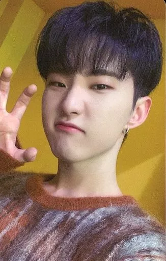 SEVENTEEN/HOSHI(ホシ)/CD「JAPAN SPECIAL SINGLE『あいのちから』」SEVENTEEN Weverse Shop JAPAN特典フォトカード