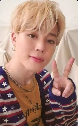 防弾少年団/Jimin(ジミン)/裏面黒/「BTS DECO KIT」同梱品 ランダムフォトカード