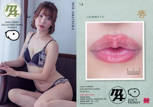 駿河屋 -【アダルト】<中古>16[レギュラーカード]：天使もえ