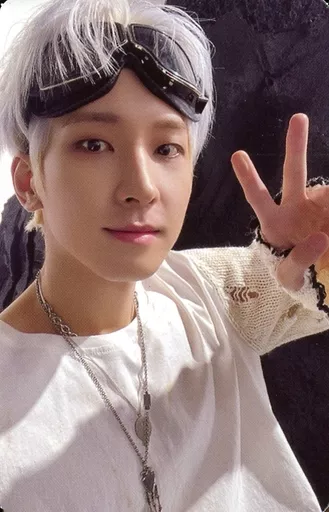 seventeen ウォヌ　face the sun サイン　ヨントン　ポスカ SEVENTEEN 4th Album Face the Sun Official Photocard Carat Version