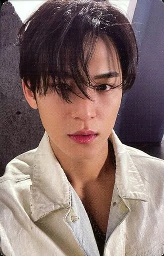 SEVENTEEN/MINGYU(ミンギュ)/裏面グレー/CD「Face the Sun」(ep.5 Pioneer)封入特典フォトカード