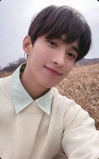 SEVENTEEN FACE THE SUN weverse ラキドロ ドギョム SEVENTEEN 4th Album「Face the Sun」発売記念「ラッキードロー